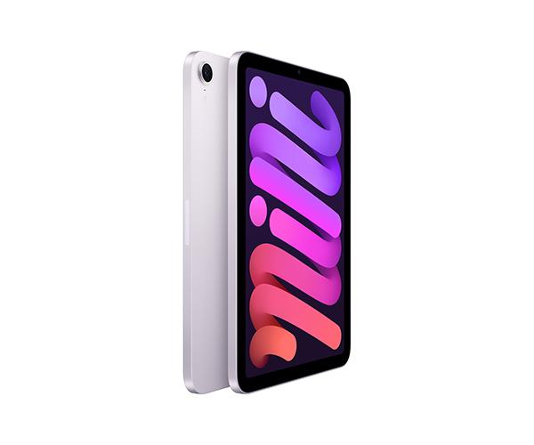 iPad mini