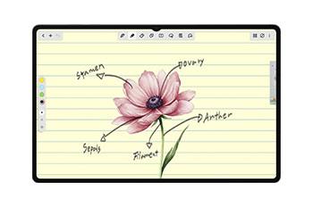 SAMSUNG Galaxy Tab S11 Wi-Fi Tablet