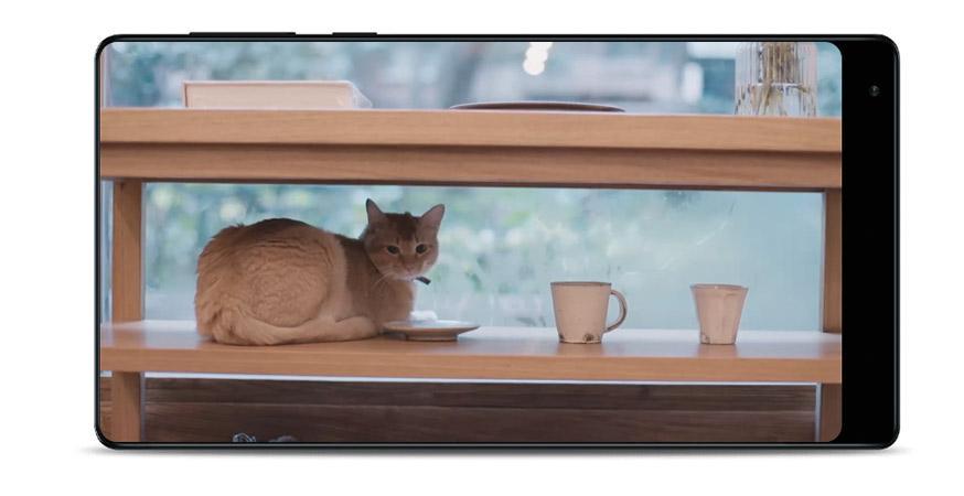 XIAOMI Mi Home Security Camera 360 1080p