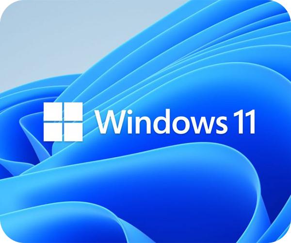  Windows 11