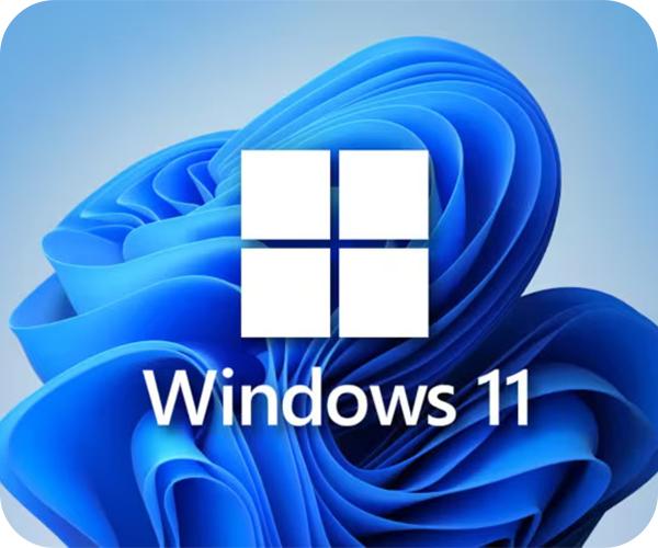 HP EliteBook 655 G10 windows 11
