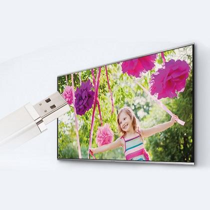 PANASONIC LED TV TX-24E303