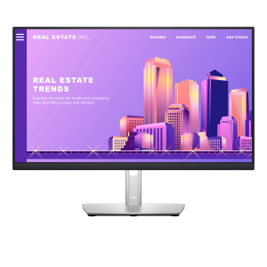 DELL P2722H 27'' IPS Full HD Monitor