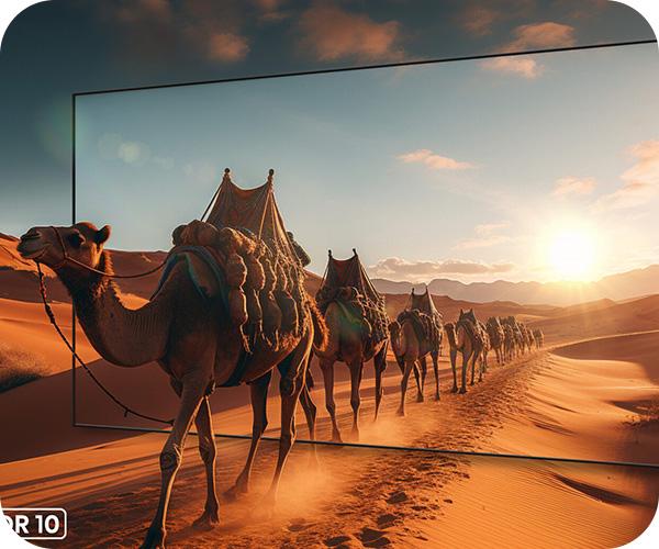 Hisense 75U8NQ Mini LED 4K Smart TV hdr 10