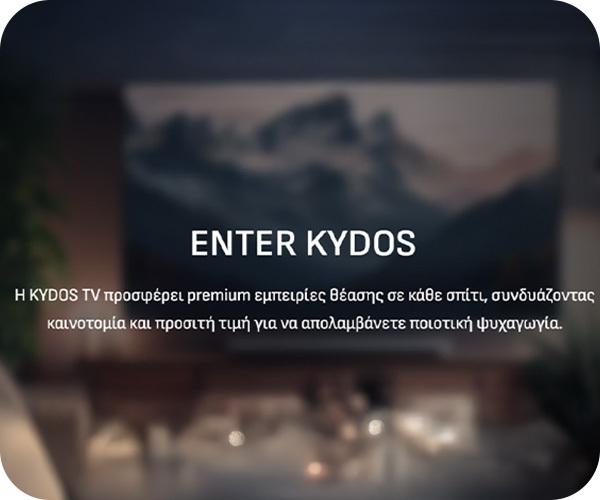 KYDOS K24NH22 24'' HD Ready LED TV HDMI