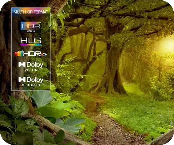 TCL 98C805 HDR