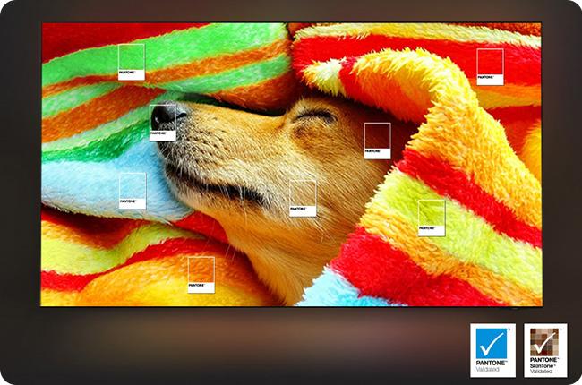 Samsung 4K OLED TV
