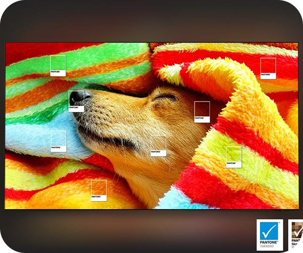 Samsung 4K QLED TV