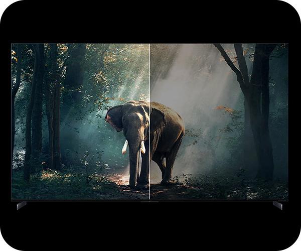 TCL 4K MiniLED 98X11K TV