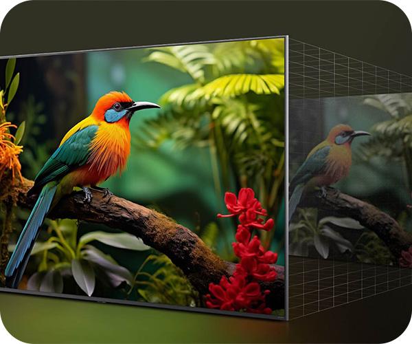 LG QNED AI 4K 2024