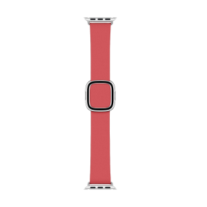 APPLE Modern Buckle Band για APPLE Watch Series 4 GPS 40/38 mm