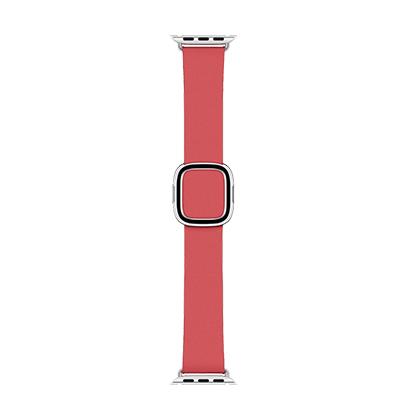 APPLE Modern Buckle Band gia APPLE Watch Series 4 GPS 40/38 mm roz 