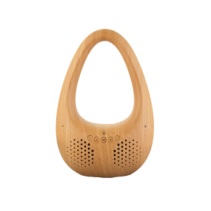 Bluetooth ηχείο AKAI ABTS-V8