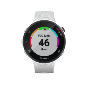 GARMIN Smartwatch Forerunner 45s