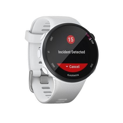 GARMIN Smartwatch Forerunner 45s