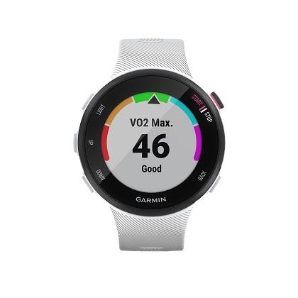 GARMIN Smartwatch Forerunner 45s