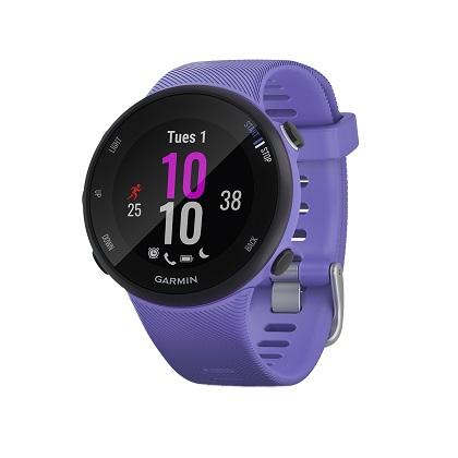 GARMIN Smartwatch Forerunner 45s