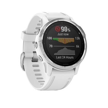 GARMIN Smartwatch fenix 6S