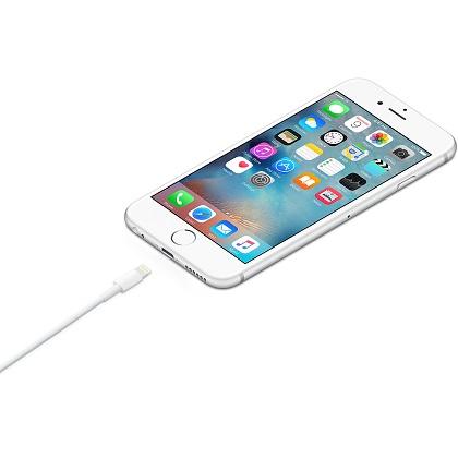 CABLE APPLE LIGHTNING TO USB (1m)