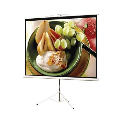 Portable screen with tripod 135 '' 1: 1 BRATECK PSDB135 240x240 cm