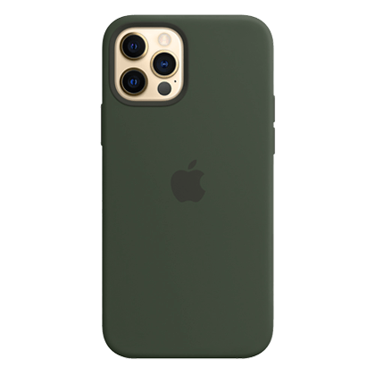  Silicone case with MagSafe APPLE iPhone 12 / Pro Cypress Green
