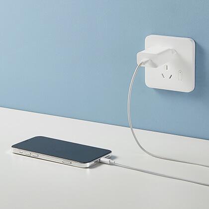 travel charger XIAOMI USB Type-C 20W 